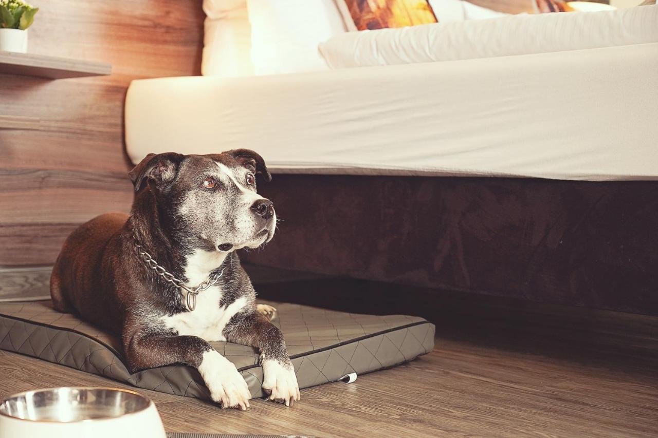 Deluxe Doppelzimmer