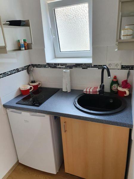 Apartment - Erdgeschoss
