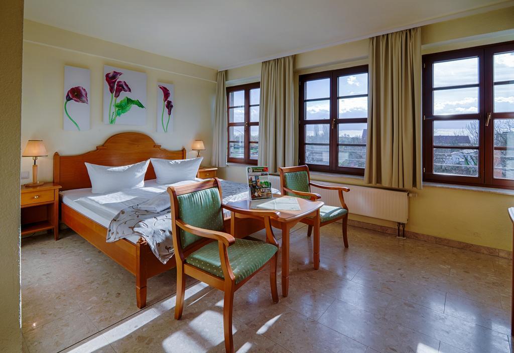Double Room with Sofa Bed or Extra Bed