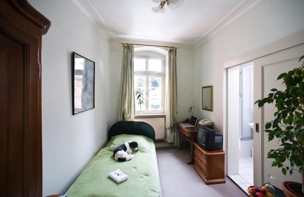 Standard Single Room,66585196:JPEG