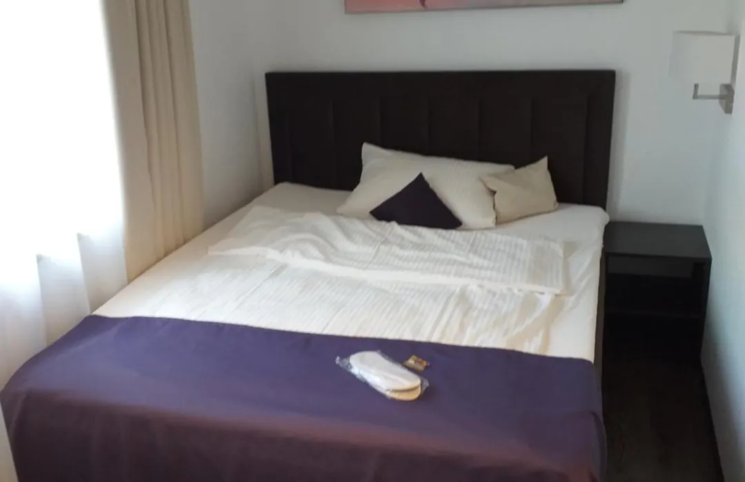 Hotel Milin-1