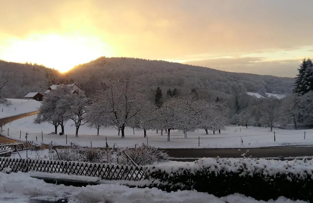 Landgasthof Grüner Baum-1