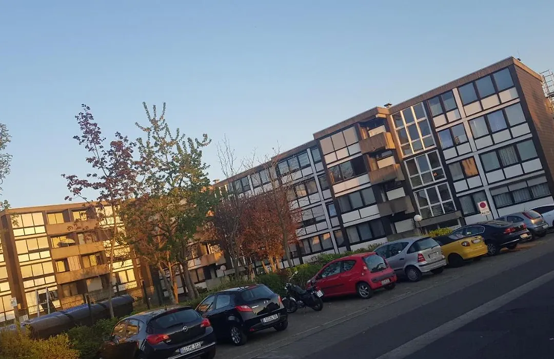 Myhome-1