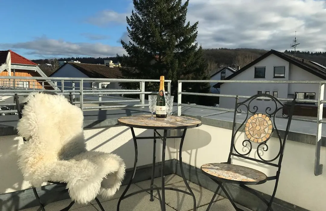 Attika Ferienwohnung in Freiburg -Gundelfingen mit großer Dachterrasse-1