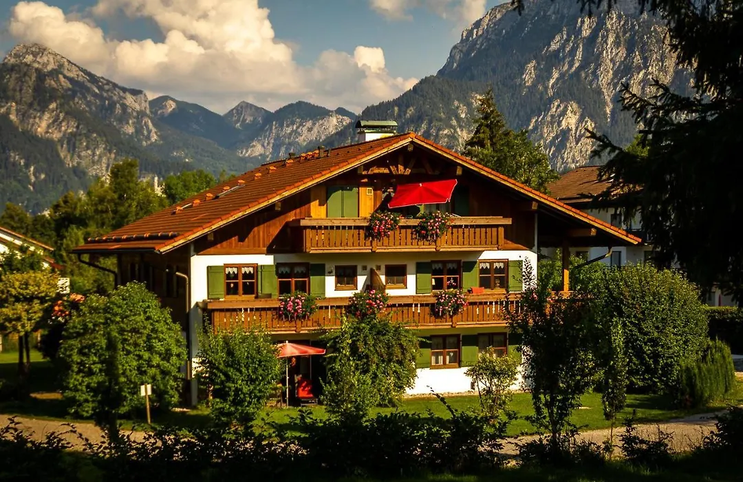 Allgäu-Moni-1