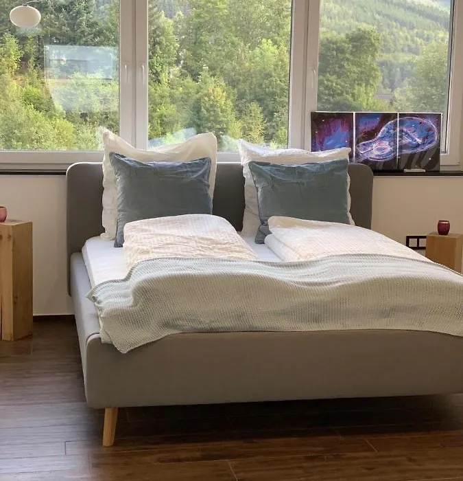 Luxus-Ferienwohnung Saalhausen-1