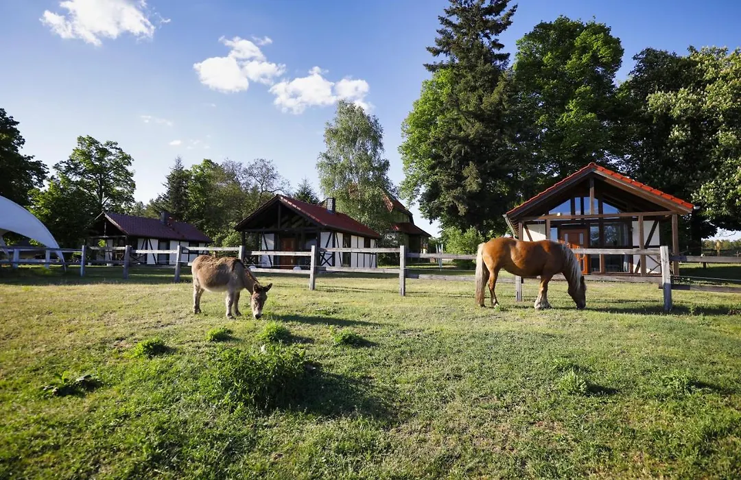Pferdehof Schorfheide-1