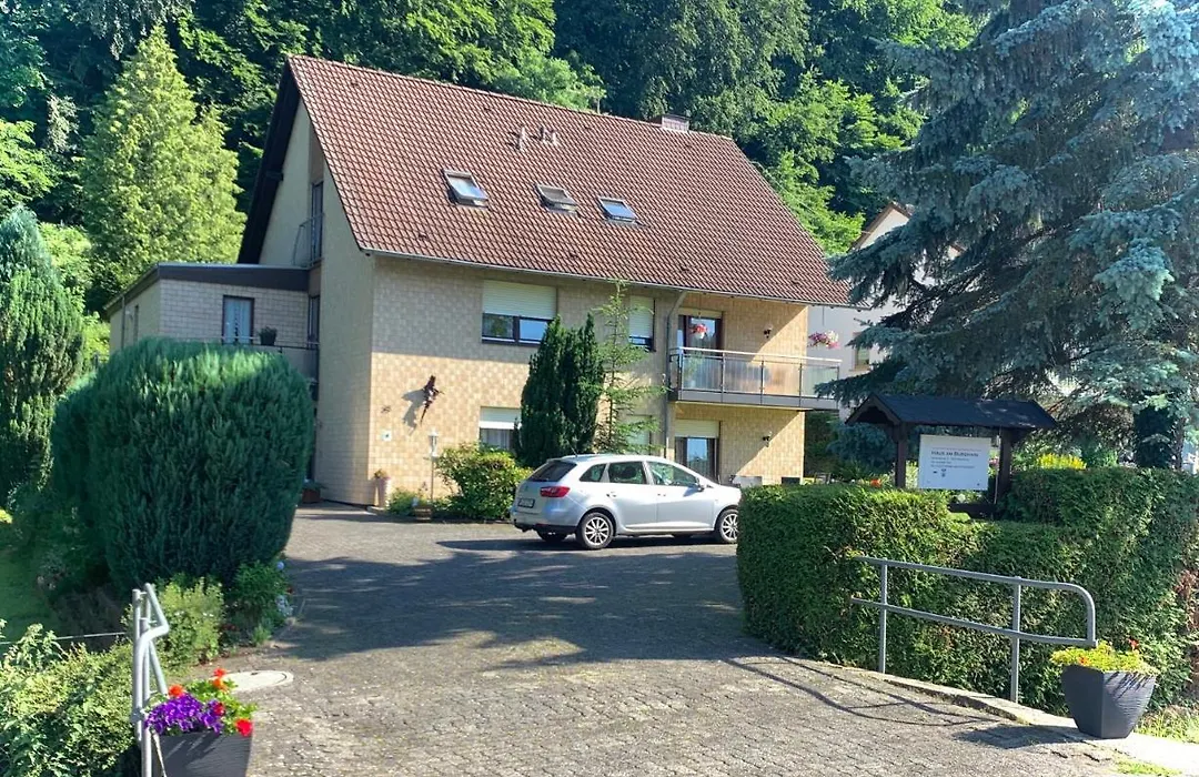 Haus Am Burghain-1