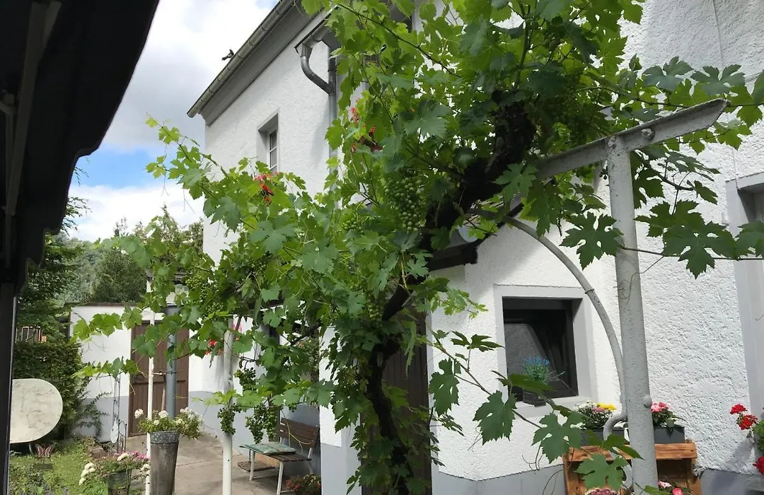 Ferienwohnung Lahnmündung-1