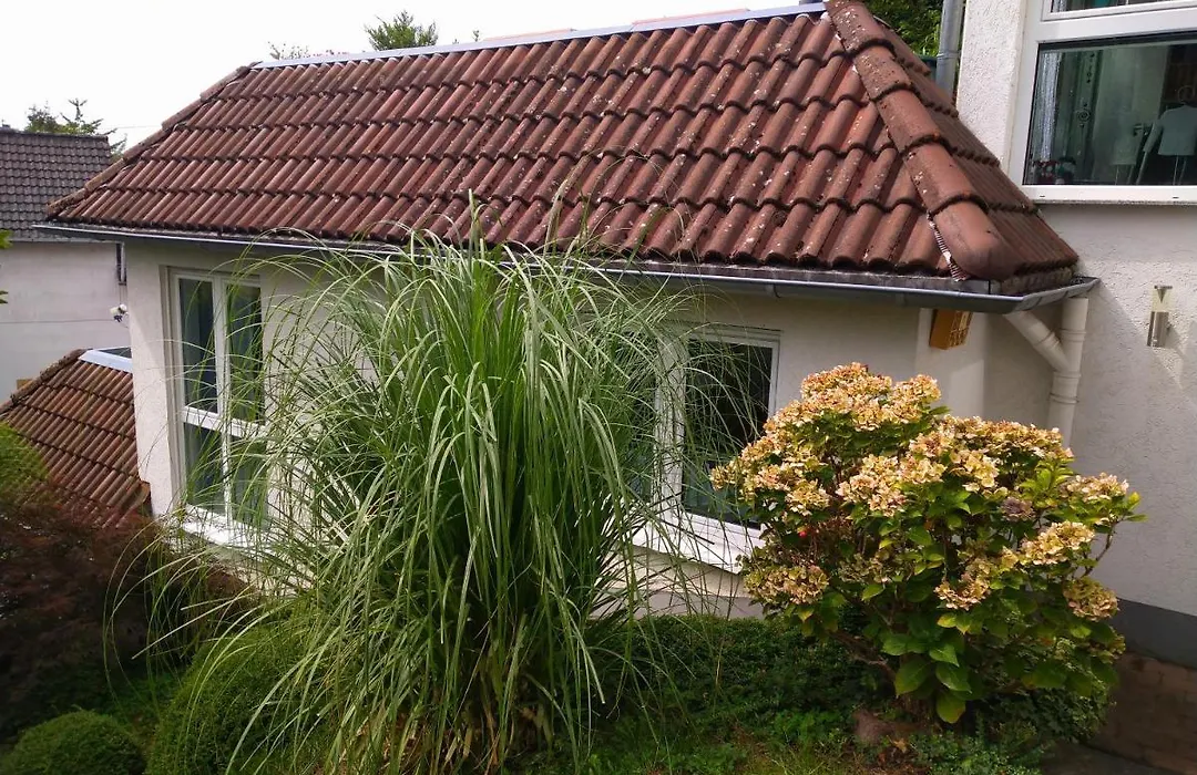 Ferienwohnung im Naturpark Rhein-Westerwald-1
