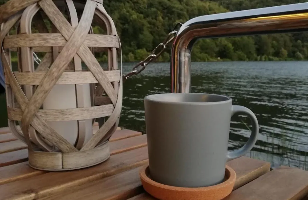 Hausboot auf der Mosel-1