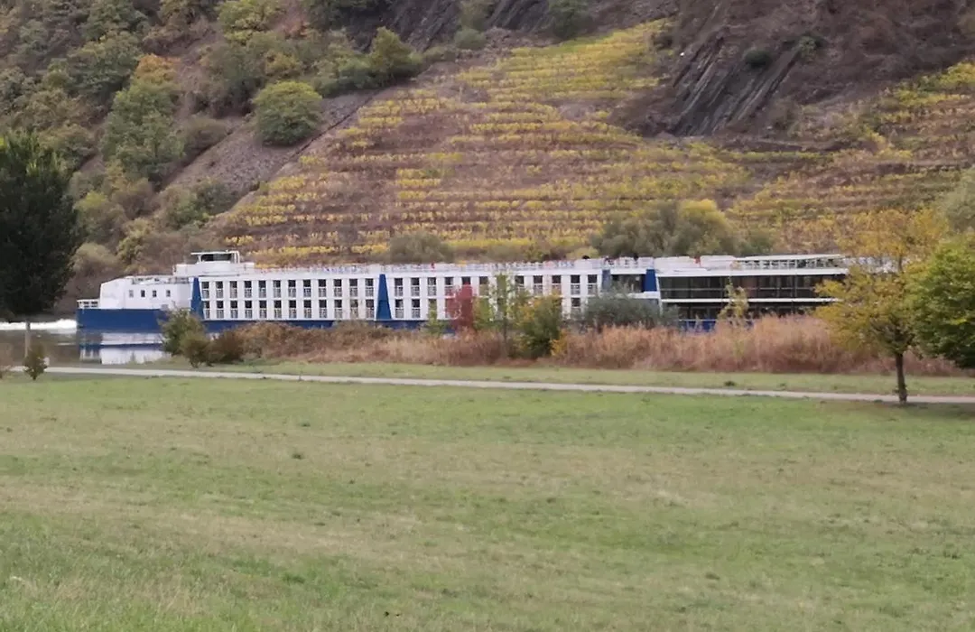 Ferienhaus MaLeFi 2 am Gülser Moselbogen-1