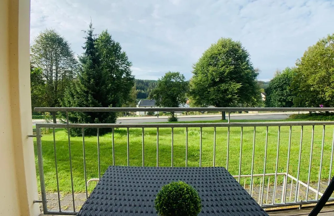 Komfortables Apartment in Bad Elster mit Netflix-1