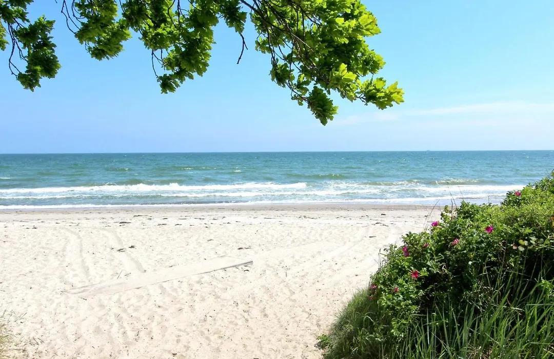 Strandresort Rex Rugia Ferienwohnung 29-1 mit Sauna- und Schwimmbadnutzung im AHOI Sellin-1