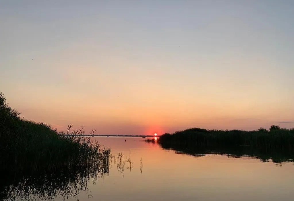 Schickebude Steinhude 2: 400m zum Wasser, 5 Minuten zur Badeinsel, ruhige Lage, mit schönem Außenbereich-1