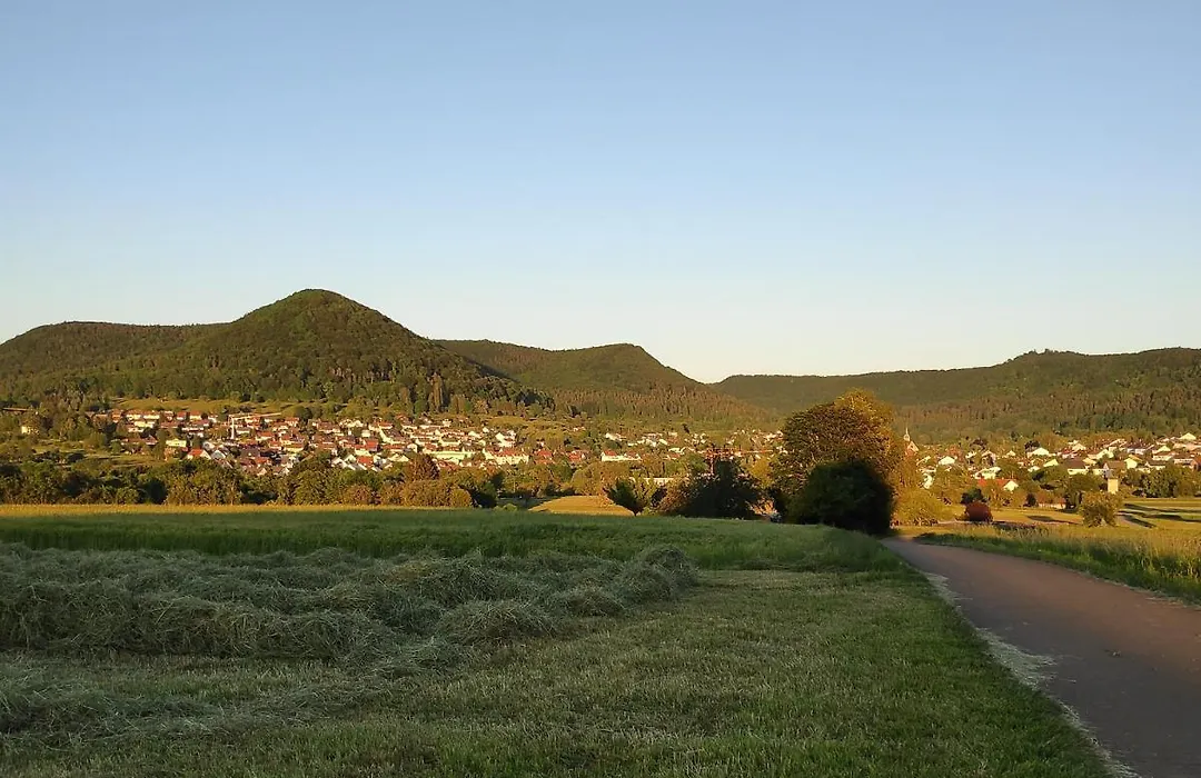 Ferienwohnungen und Zimmer in Reutlingen-Gönningen-1