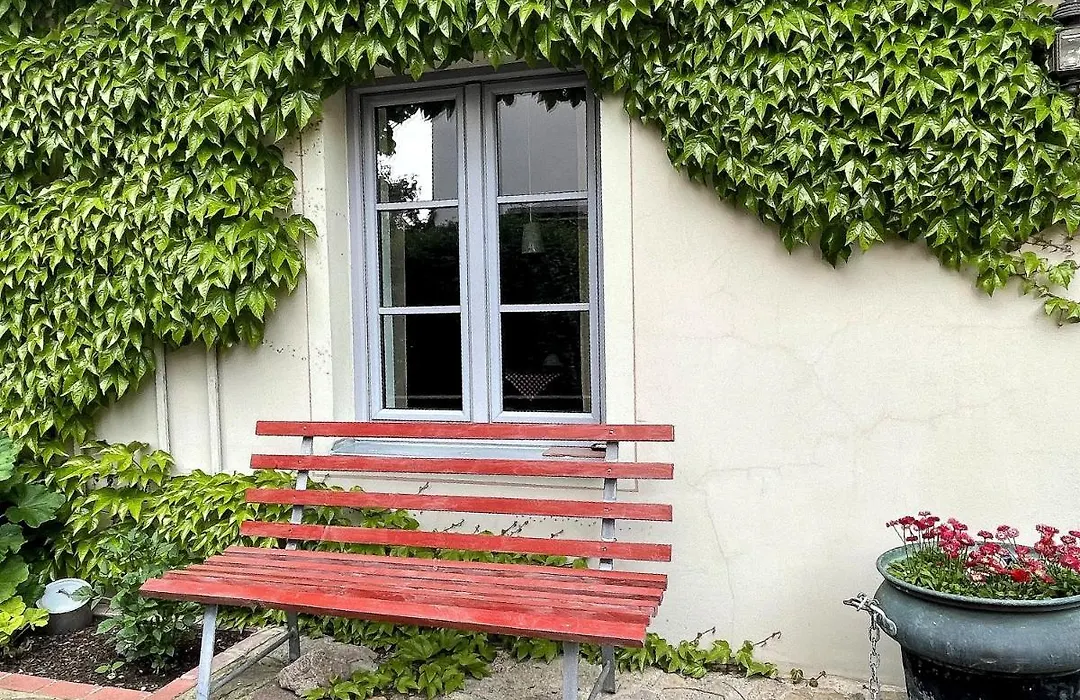 FEWO im Kneipenviertel Altkötzschenbroda-1
