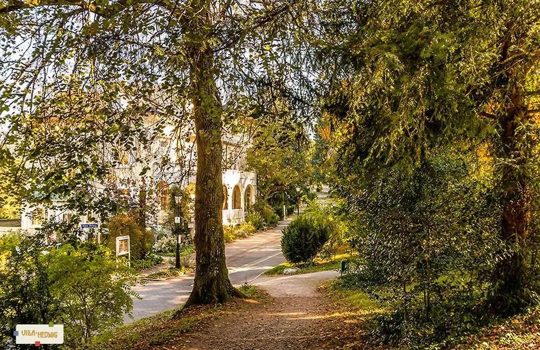 Villa Hedwig-1