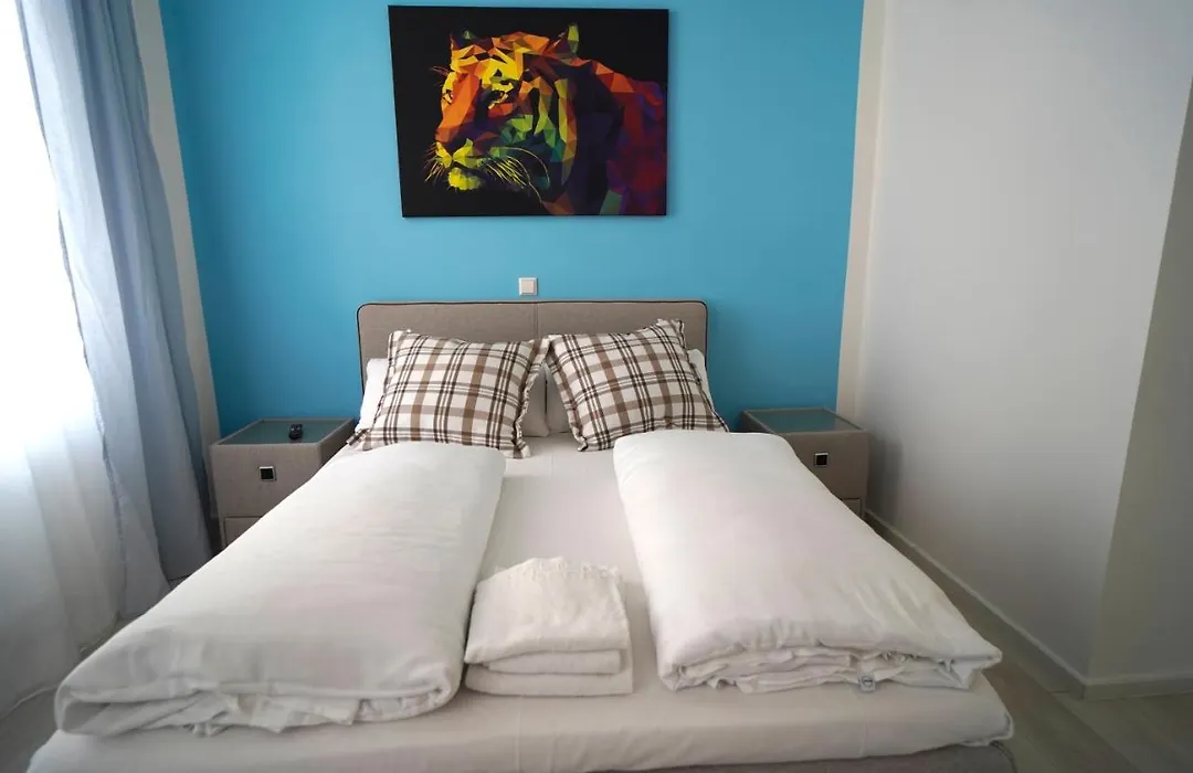 Hotel Böke Rheinfelden-1