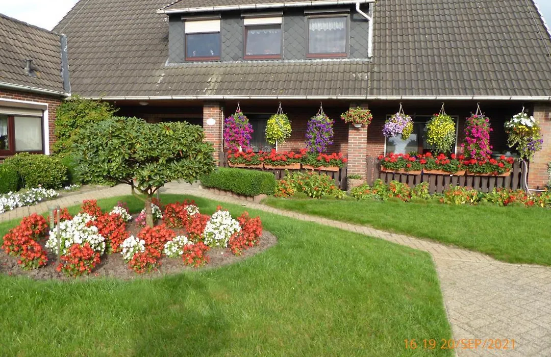 Schmidtfewo Moorgeist-1