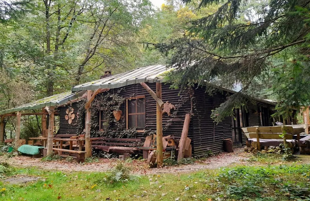 Das wilde Auwaldhaus-1