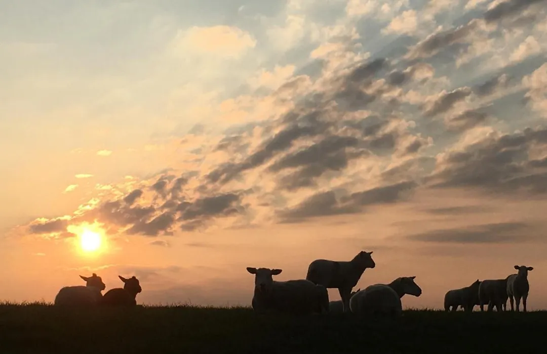 Annemaries Nordseehaus-1
