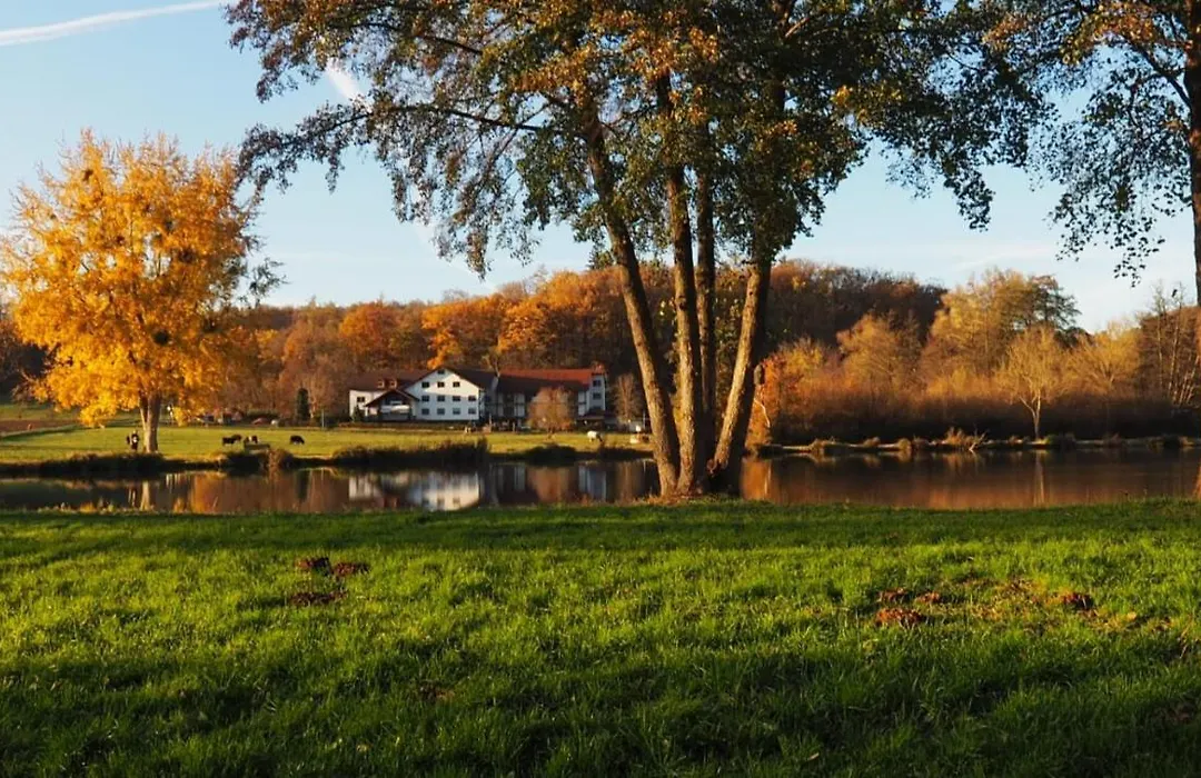 Landgasthof Rotlipp Gästezimmer-1