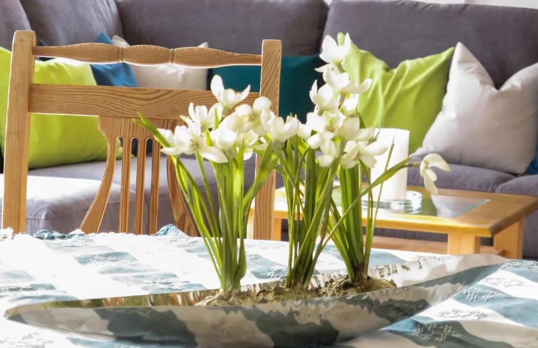 Holiday Home Fischer By Interhome-1