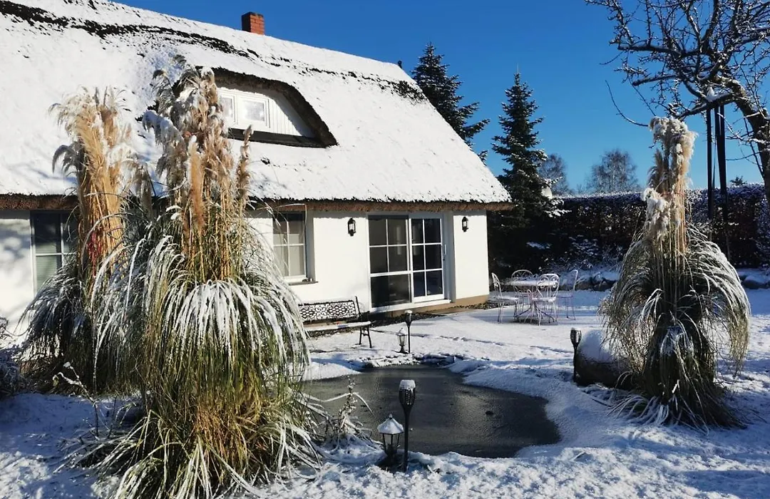 Reetferienhaus - Schaprode Hafen-1
