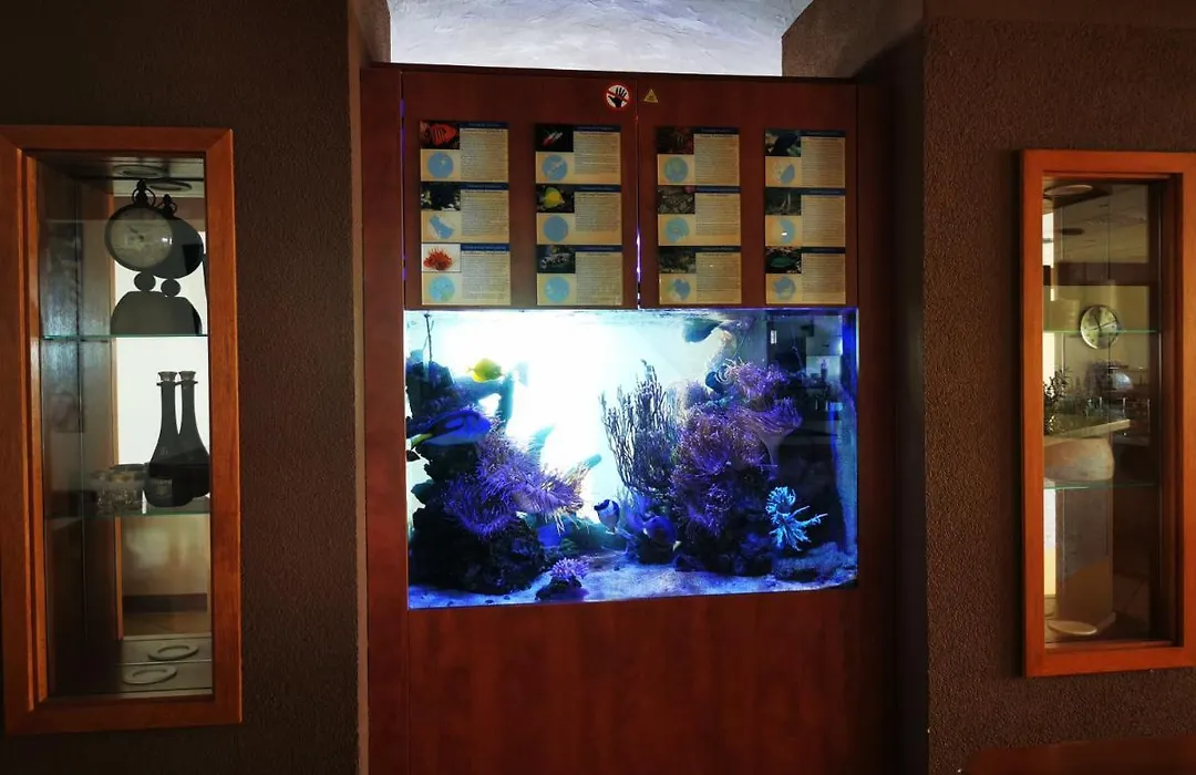 Hotel Apollon Rust-1