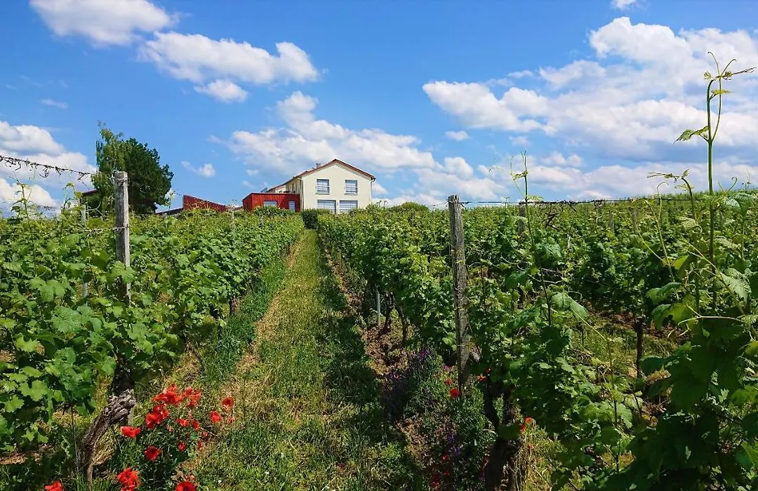 Weinbergshof Rickel-1