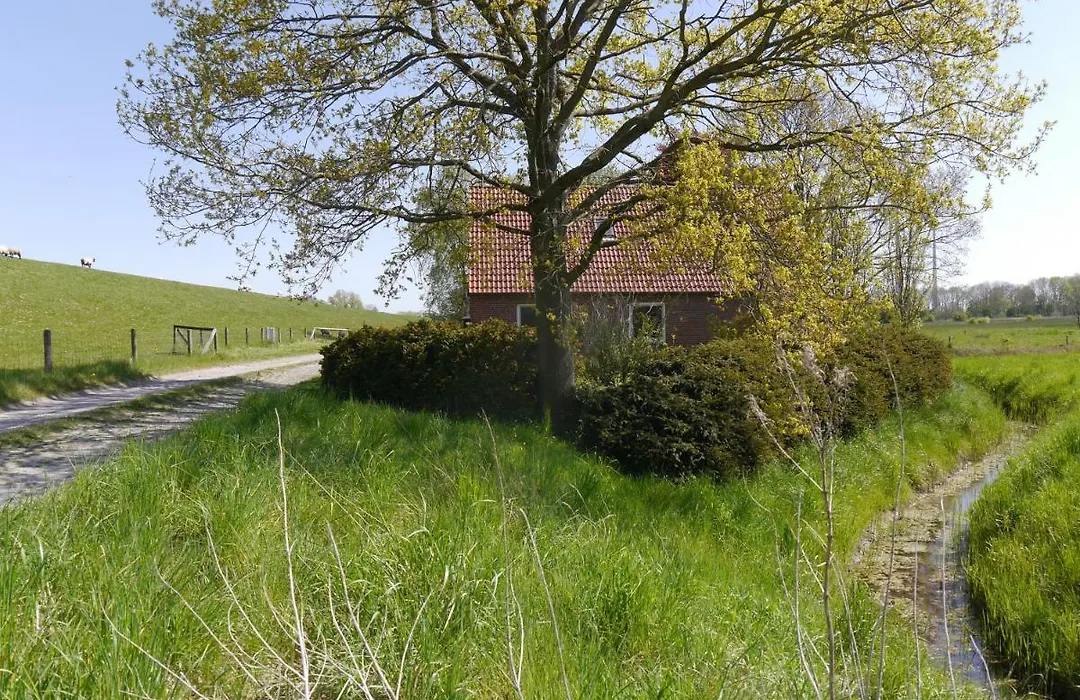 Ferienhaus Am Nordseedeich In Alleinlage-1