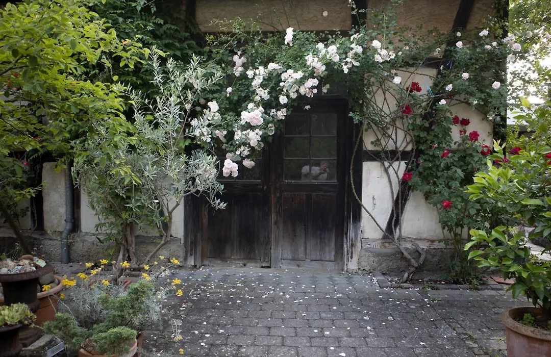 villaflora Gästehaus-1
