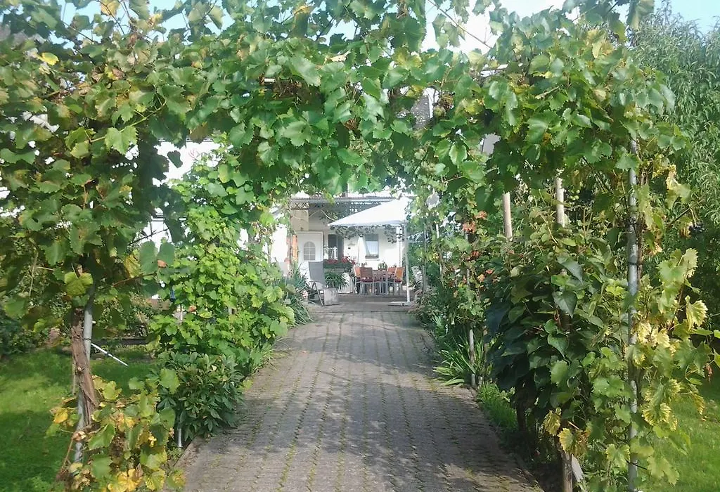 Ferienweingut Arnold Thiesen-1