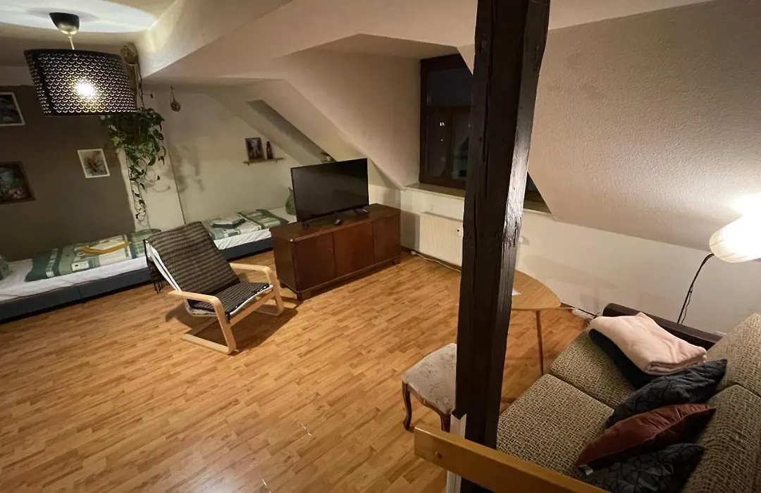 Großzügige Maisonette Wohnung über den Dächern Leipzigs-1