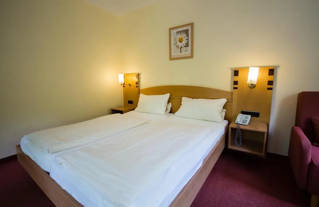 Hotel Neugebauer Am Rheinsteig-1