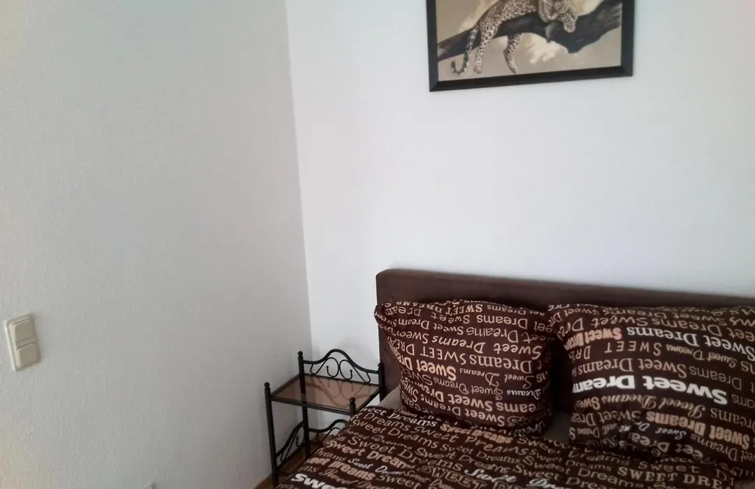 Apartment Alleestrasse-1