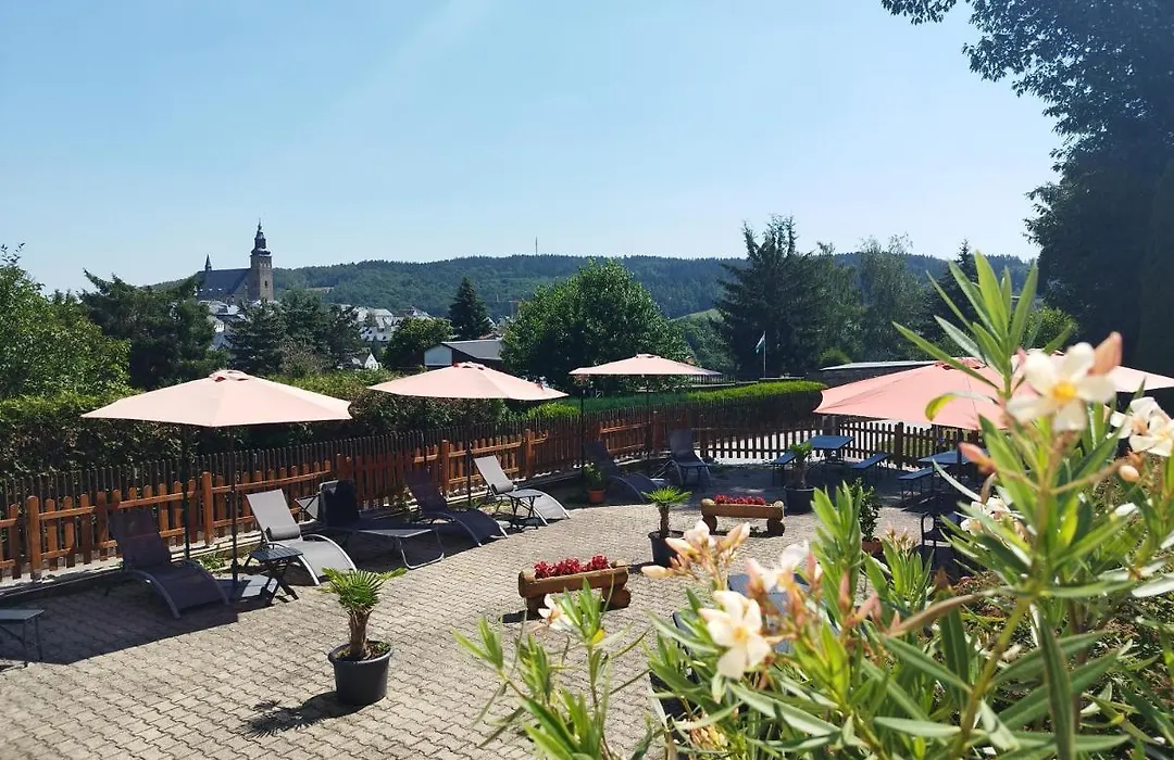 Berghotel Steiger - Pfotenurlaub-1