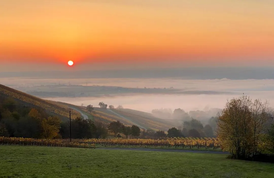 BALTHASAR RESS Guesthouse am Rebhang im Rheingau-1