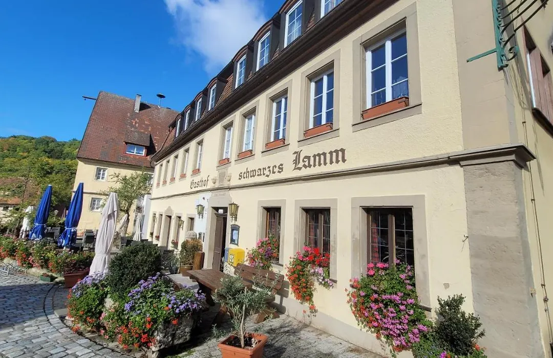 Schwarzes Lamm-1