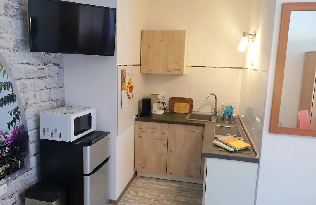 Ferienwohnung Oberlungwitz-1
