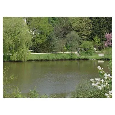 Haus Am See-1