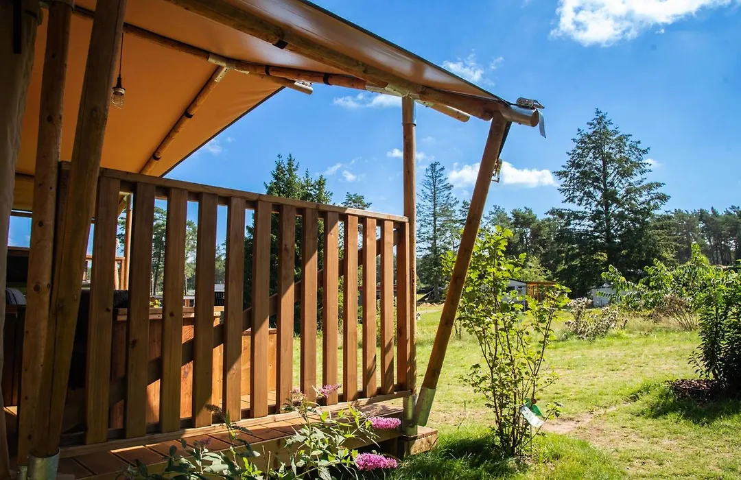 Glampingzelt Heide - Lodge-1