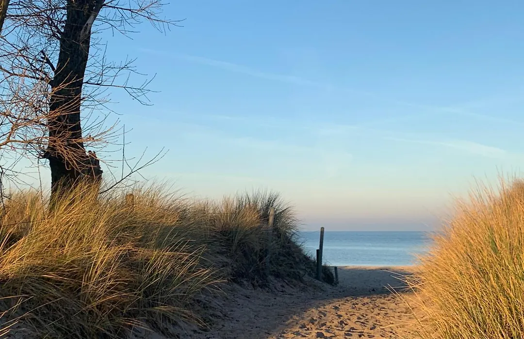 GUT KLETKAMP Altes Backhaus - Freistehendes Landhaus mit 7 Schlafzimmern I Kamin I Garten&Terrasse I 15 Min zur Ostsee I Parkplätze I Hundefreundlich I Bar I WLAN-1