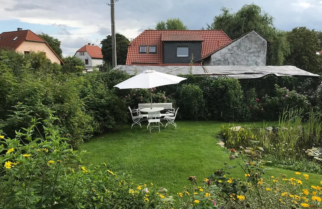 Schöne gemütliche Ferienwohnung mit Kamin I im Harz-1