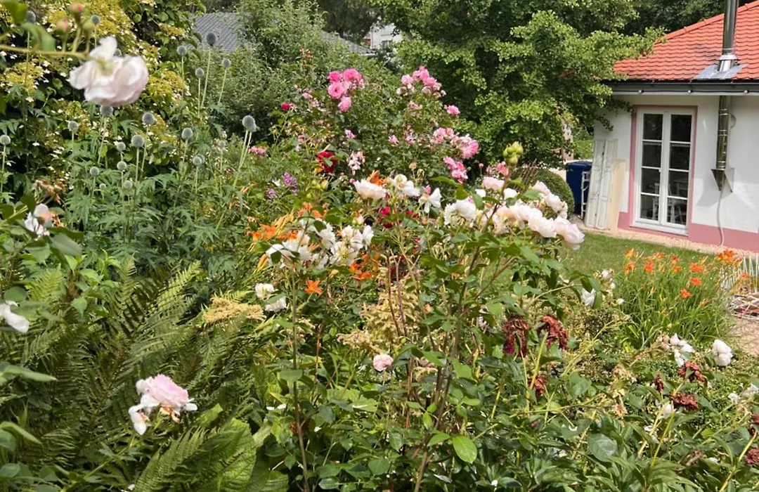 B&B Rosenliebe-1