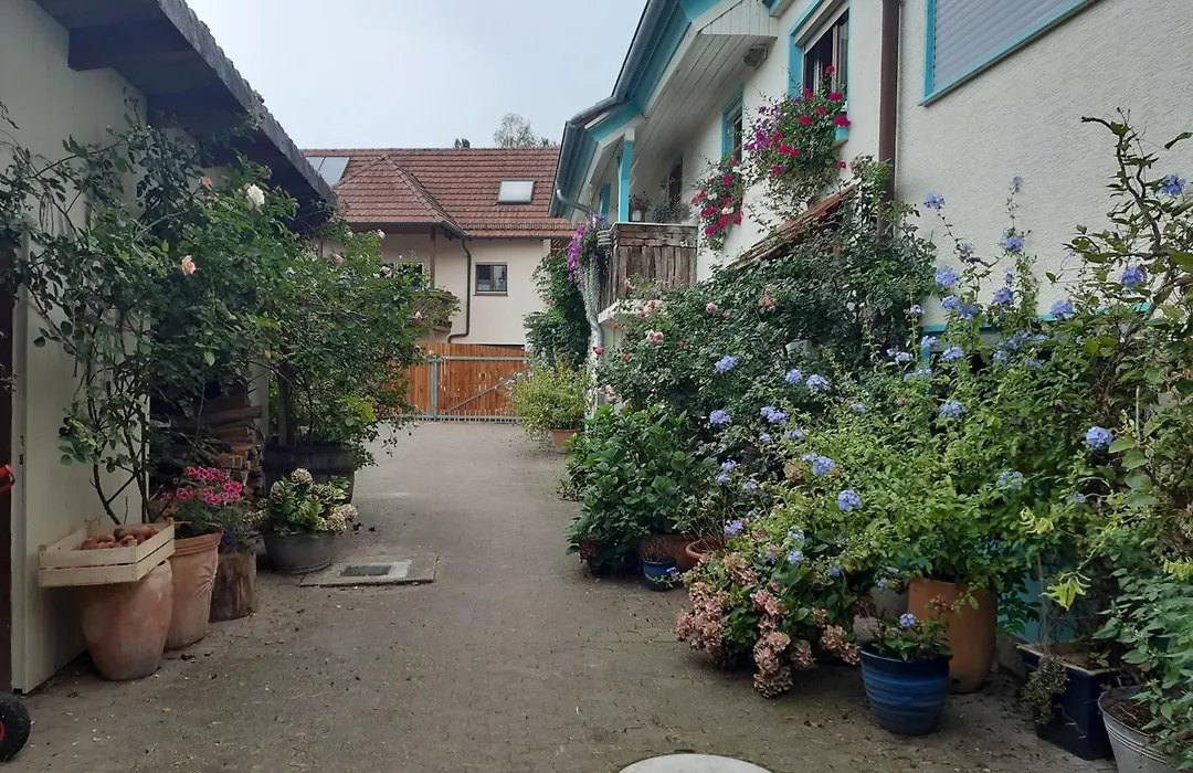 Rosenhof Broggingen-1