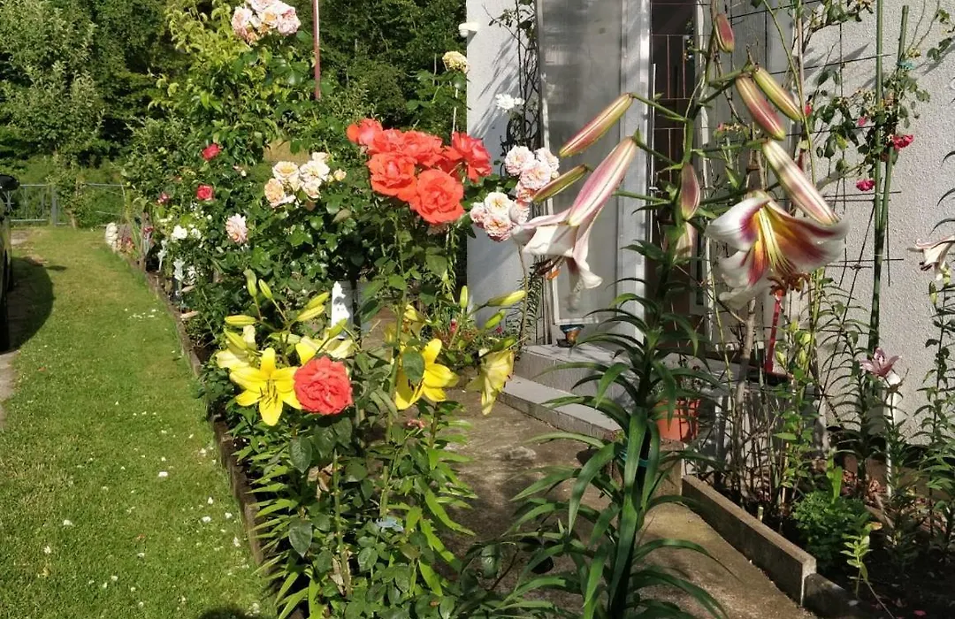 Gästehaus am Teich-1