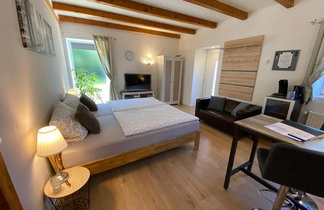 Großes Doppelzimmer mit eigenem Bad und Kühlschrank, frisch saniert-1