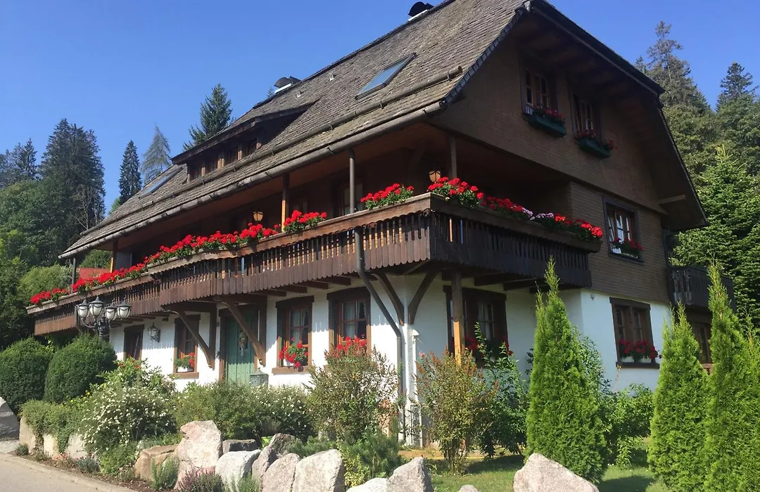 Hollhouse - Bed & Breakfast-1